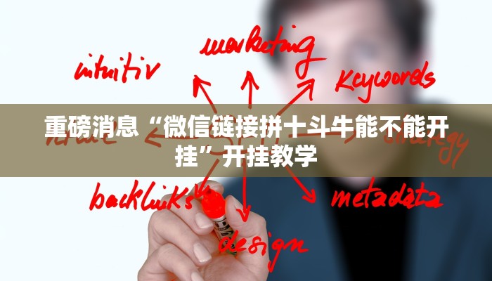 重磅消息“微信链接拼十斗牛能不能开挂”开挂教学 重磅消息“微信链接拼十斗牛能不能开挂”开挂教学