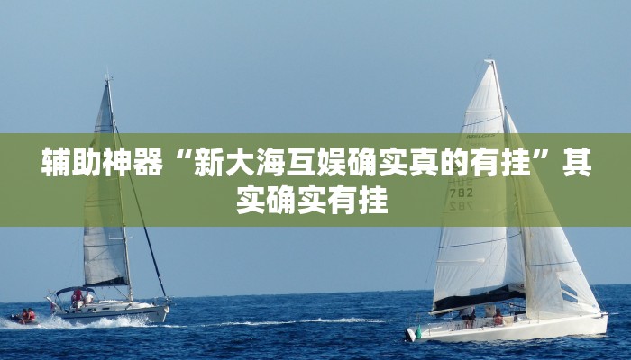 辅助神器“新大海互娱确实真的有挂”其实确实有挂 