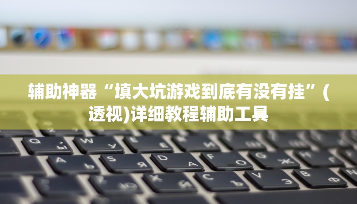 辅助神器“填大坑游戏到底有没有挂”(透视)详细教程辅助工具 辅助神器“填大坑游戏到底有没有挂”(透视)详细教程辅助工具