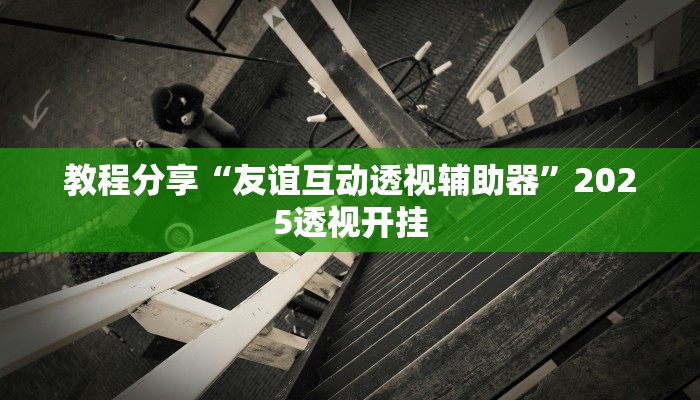 教程分享“友谊互动透视辅助器”2025透视开挂