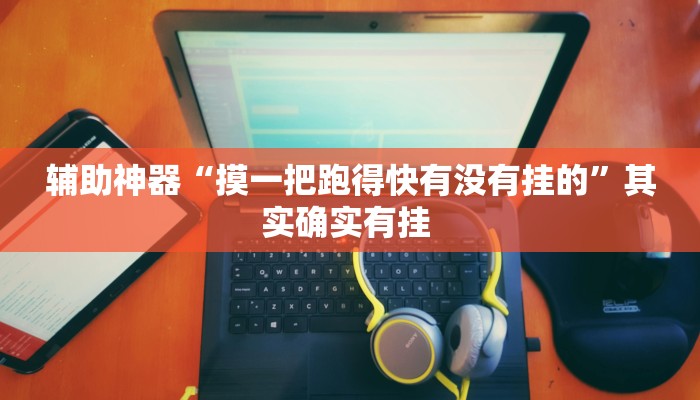 辅助神器“摸一把跑得快有没有挂的”其实确实有挂 