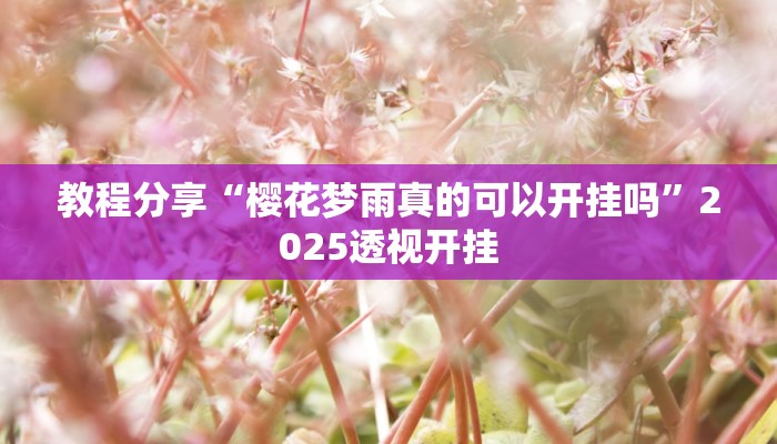 教程分享“樱花梦雨真的可以开挂吗”2025透视开挂 教程分享“樱花梦雨真的可以开挂吗”2025透视开挂