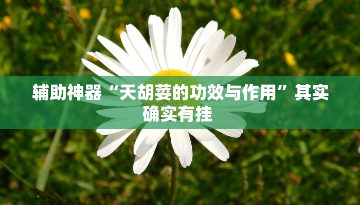 辅助神器“天胡荽的功效与作用”其实确实有挂 