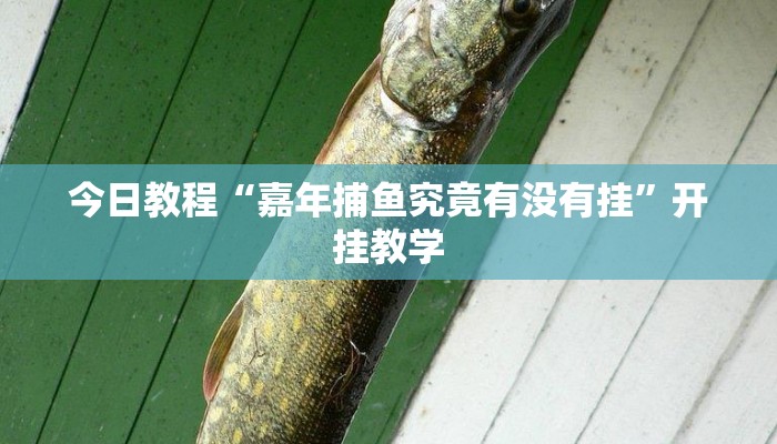 今日教程“嘉年捕鱼究竟有没有挂”开挂教学
