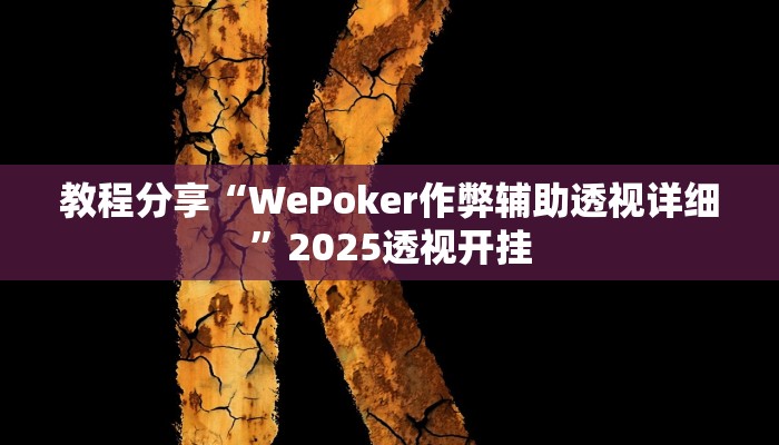教程分享“WePoker作弊辅助透视详细”2025透视开挂