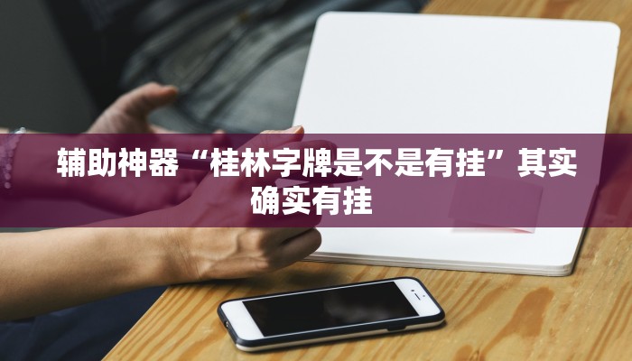 辅助神器“桂林字牌是不是有挂”其实确实有挂 