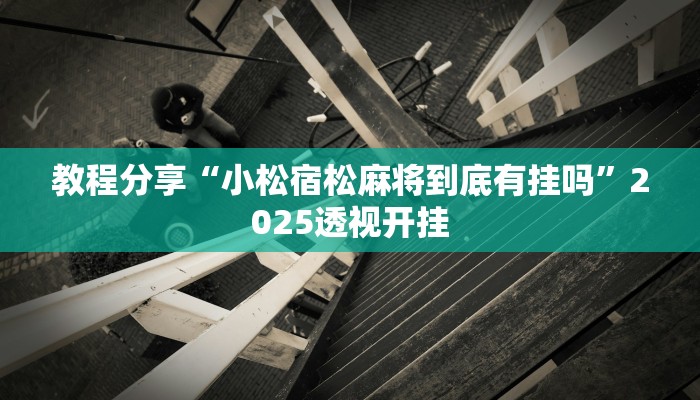 教程分享“小松宿松麻将到底有挂吗”2025透视开挂