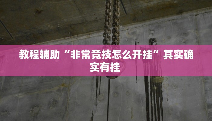 教程辅助“非常竞技怎么开挂”其实确实有挂 教程辅助“非常竞技怎么开挂”其实确实有挂