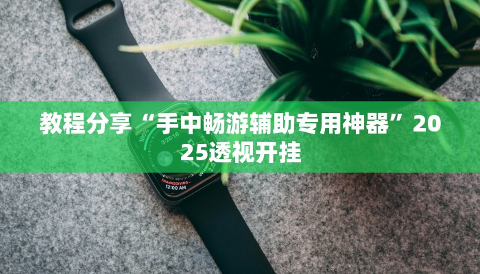 教程分享“手中畅游辅助专用神器”2025透视开挂