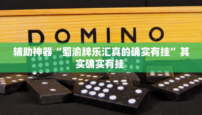 辅助神器“蜀渝牌乐汇真的确实有挂”其实确实有挂 辅助神器“蜀渝牌乐汇真的确实有挂”其实确实有挂