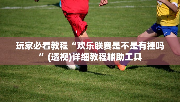 玩家必看教程“欢乐联赛是不是有挂吗”(透视)详细教程辅助工具