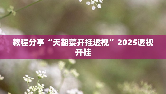 教程分享“天胡荽开挂透视”2025透视开挂