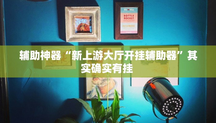 辅助神器“新上游大厅开挂辅助器”其实确实有挂 