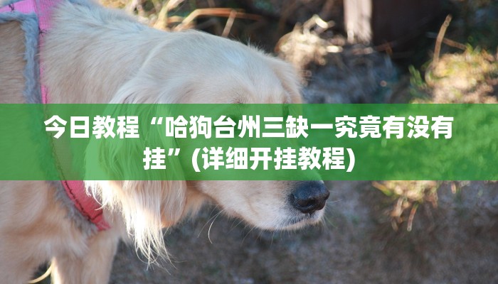 今日教程“哈狗台州三缺一究竟有没有挂”(详细开挂教程) 今日教程“哈狗台州三缺一究竟有没有挂”(详细开挂教程)