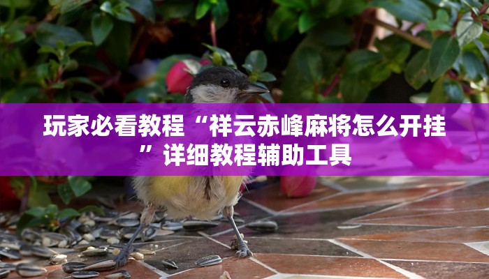 玩家必看教程“祥云赤峰麻将怎么开挂”详细教程辅助工具