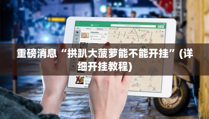 重磅消息“拱趴大菠萝能不能开挂”(详细开挂教程)