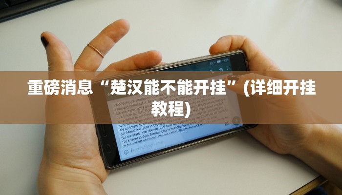 重磅消息“楚汉能不能开挂”(详细开挂教程)