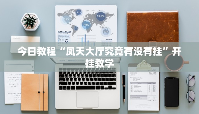 今日教程“凤天大厅究竟有没有挂”开挂教学