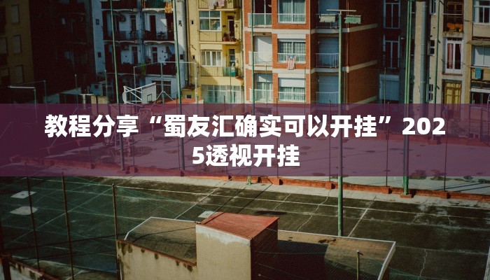 教程分享“蜀友汇确实可以开挂”2025透视开挂