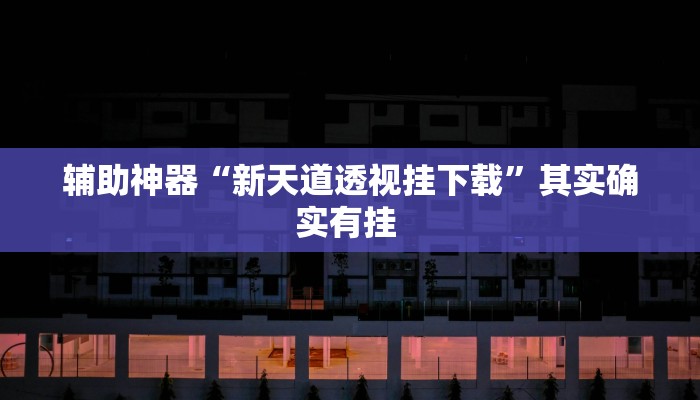 辅助神器“新天道透视挂下载”其实确实有挂 