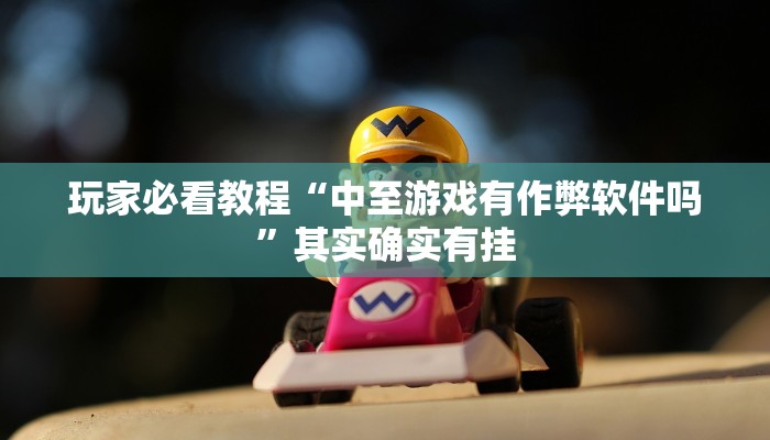 玩家必看教程“中至游戏有作弊软件吗”其实确实有挂 玩家必看教程“中至游戏有作弊软件吗”其实确实有挂