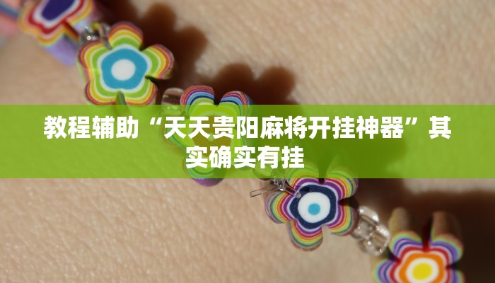 辅助神器“天天爱二十三张辅助器”详细教程辅助工具