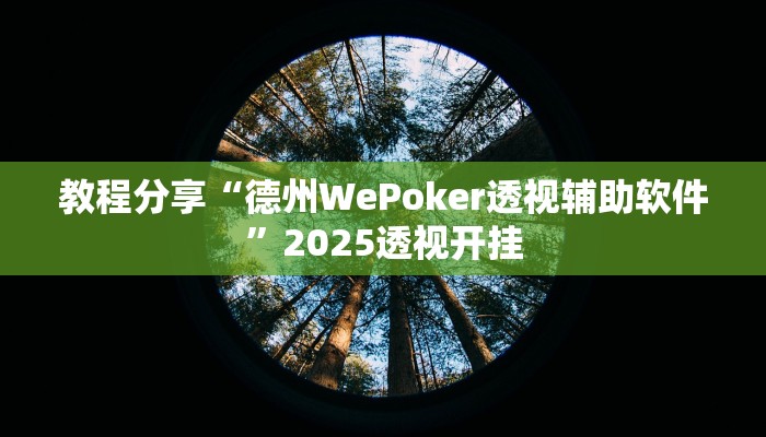 教程分享“德州WePoker透视辅助软件”2025透视开挂